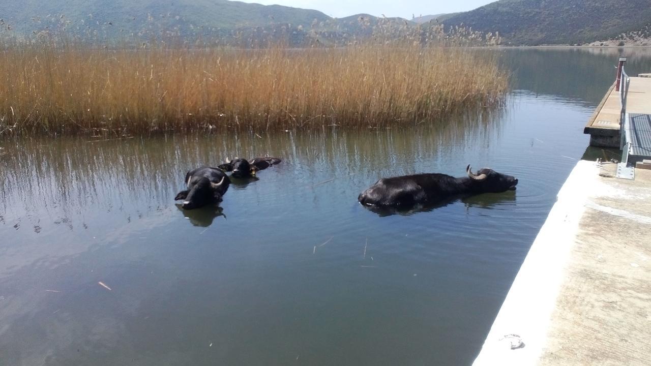 Hotel Agios Achillios Zewnętrze zdjęcie