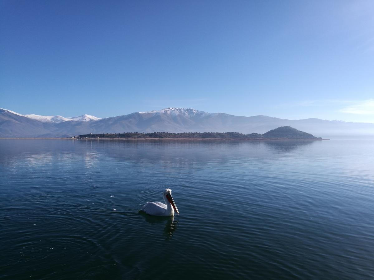 Hotel Agios Achillios Zewnętrze zdjęcie